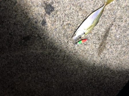 メタルスッテアジング成立