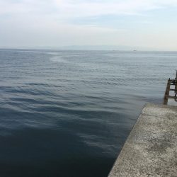 沖の北でライトショアジギング