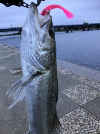 雨上がりはいい