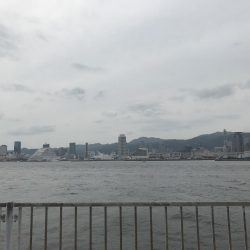 サバアジハマチ