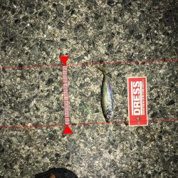 神戸ランガン7月24日