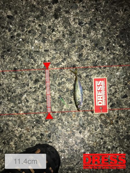 神戸ランガン7月24日