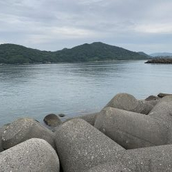 厳しめのツバス