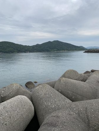 厳しめのツバス