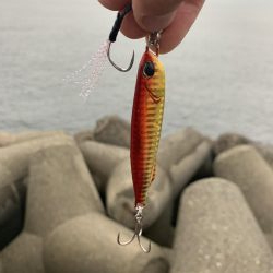 出勤前のツバス