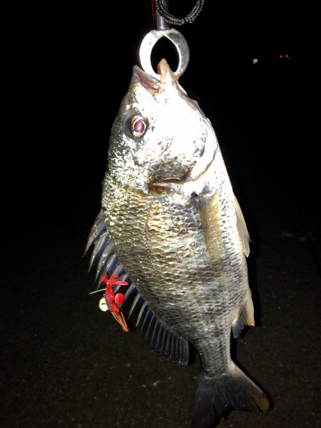 スーパーライトチニング‼&#…