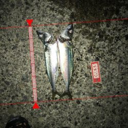 アジュール大サバ