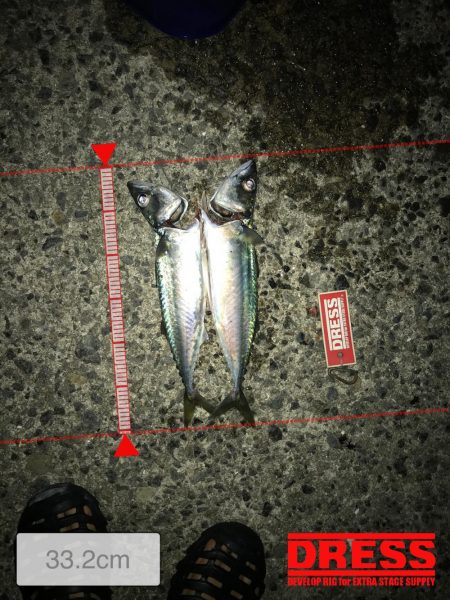 アジュール大サバ