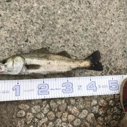 増水パターンリベンジ成功