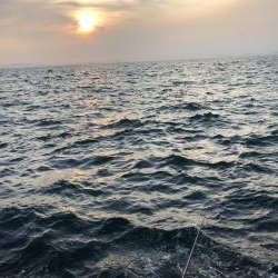 ワインドでも…