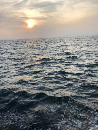 ワインドでも…