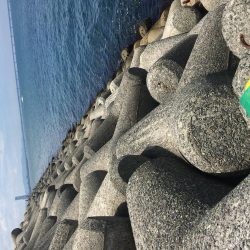 貝塚人工島 メタルマルでツバス