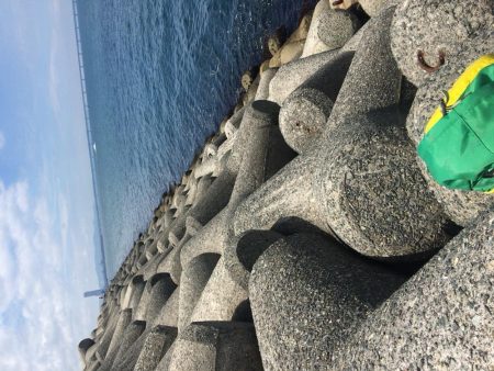 貝塚人工島 メタルマルでツバス