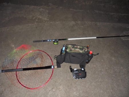 前打ち黒鯛やっときた