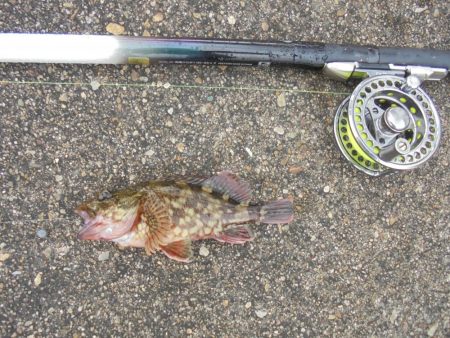 花火大会とは知らず３週連続ならず