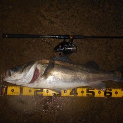 ランカーが暴走!!