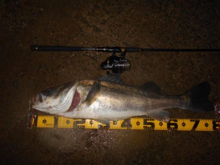 ランカーが暴走!!