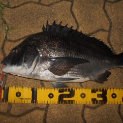 なんという破壊力…。