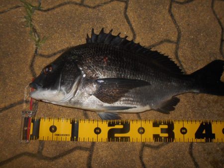 なんという破壊力…。