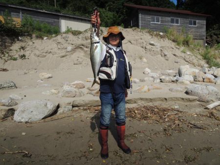 経ヶ岬でデカアジ