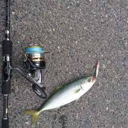 朝マズメ  ライトショアジギング