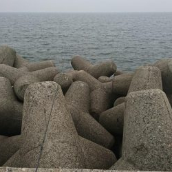 ライトショアジギング