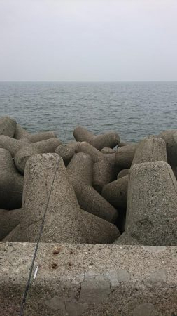 ライトショアジギング