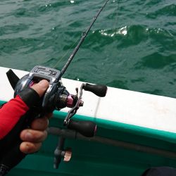 泉州丸さんで五目釣り