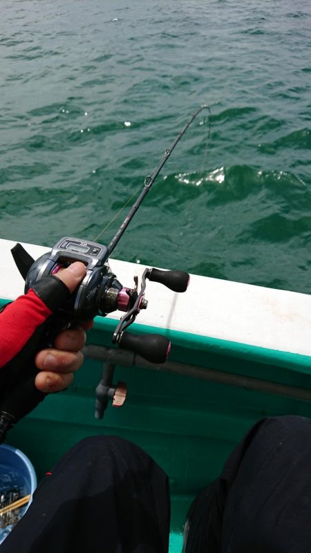 泉州丸さんで五目釣り