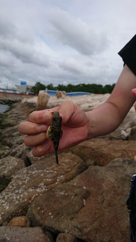 家族旅行で扇ケ浜