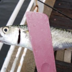 初めての場所でやっとサイズアップ