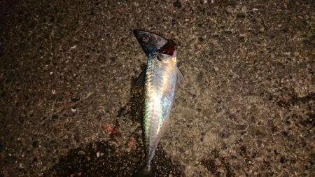 まさかのアオリ