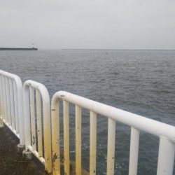 久々によく釣れたけど小さい