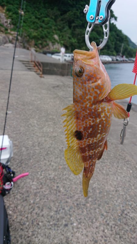 初場所でうまいやつ