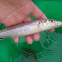 梅雨の晴れ間に