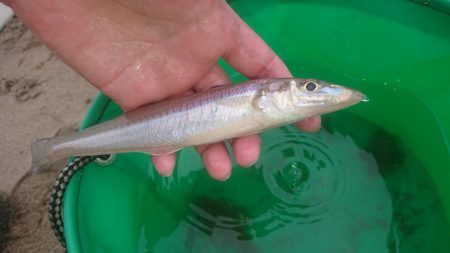 梅雨の晴れ間に