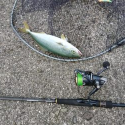 トップゲーム開幕