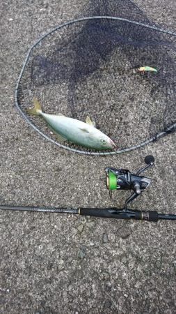 トップゲーム開幕