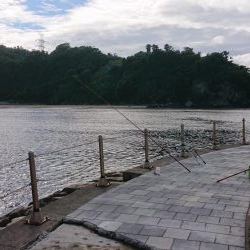 久々の和歌山釣行、キス釣り