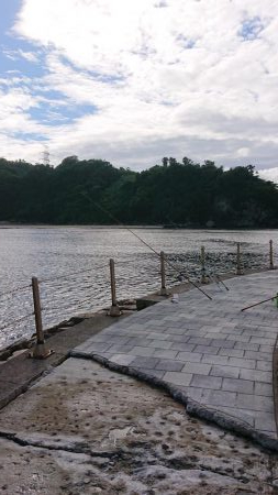 久々の和歌山釣行、キス釣り