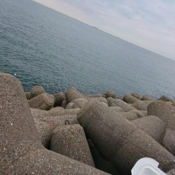 雨の予報やったけど。。