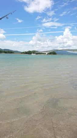 チニング&キス釣り