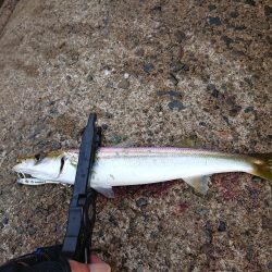 梅雨の合間の釣り日和
