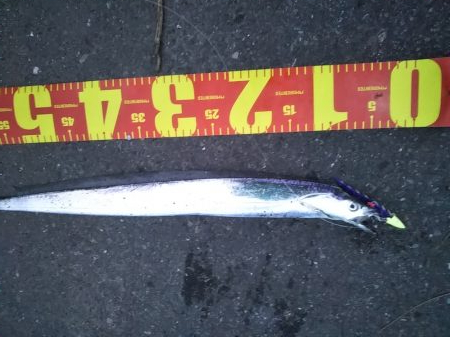 かなり渋めも……指3本を確保