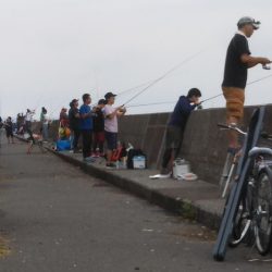 釣り座の確保が難しい……朝マヅメ