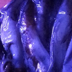 初の大検ゲット