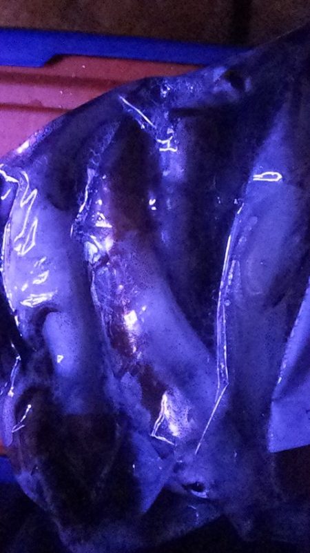 初の大検ゲット