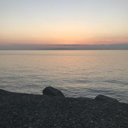 ツバス減った？