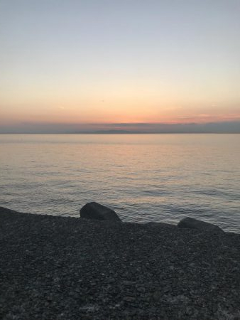 ツバス減った？