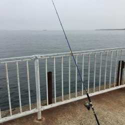 青物狙いのライトショアジギング